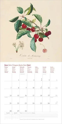 Dumont Fruits Kalender 2027