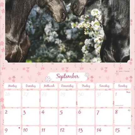 Dumont Paardengeluk Kalender 2027