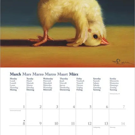 Dumont Yoga Chicken Kalender 2027