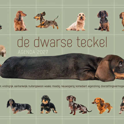 Edicola De Dwarse Teckel Agenda 2027