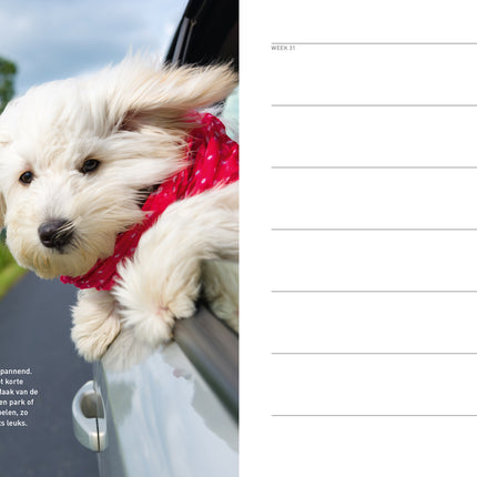 Edicola Hond & Co Agenda 2026