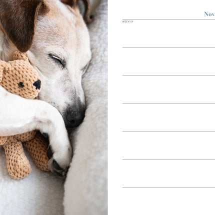 Edicola Hond & Co Agenda 2026