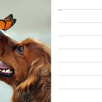 Edicola Hond & Co Agenda 2026