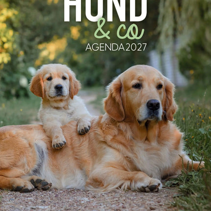 Edicola Hond & Co Agenda 2027