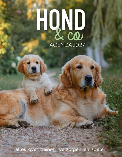 Edicola Hond & Co Agenda 2027