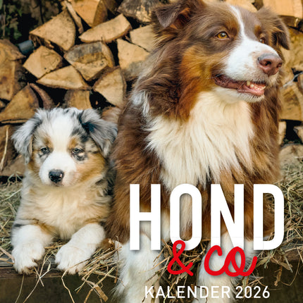 Edicola Hond & Co Scheurkalender 2026