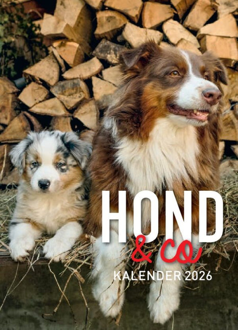 Edicola Hond & Co Scheurkalender 2027