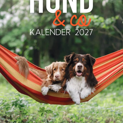 Edicola Hond & Co Scheurkalender 2027