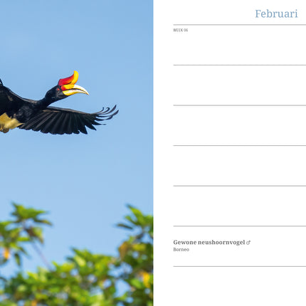 Edicola Inge’s Vogels Agenda 2026