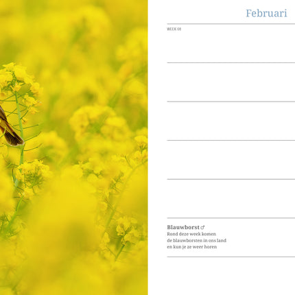 Edicola Inge’s Vogels Agenda 2026