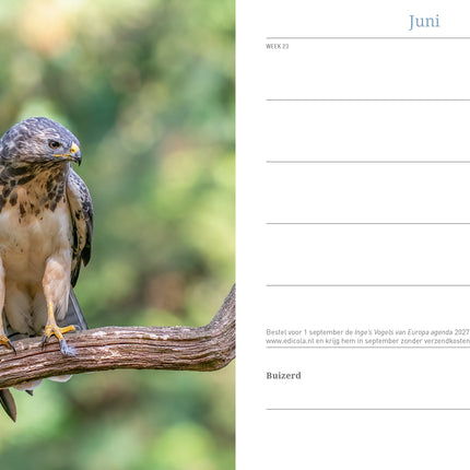 Edicola Inge’s Vogels Agenda 2026