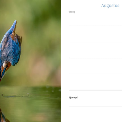 Edicola Inge’s Vogels Agenda 2026