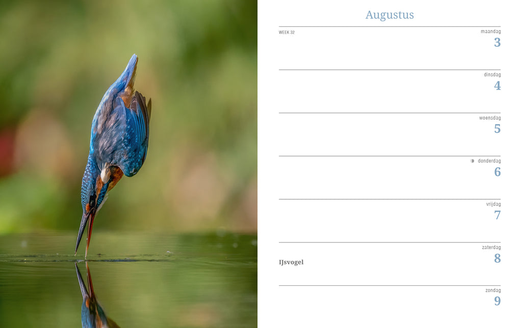 Edicola Inge’s Vogels Agenda 2026