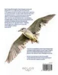 Edicola Inge’s Vogels Agenda 2027