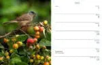 Edicola Inge’s Vogels Agenda 2027