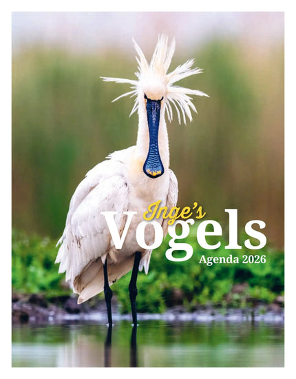 Edicola Inge’s Vogels Agenda 2027