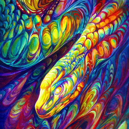 Enjoy Rainbow Snake Puzzel 1000 Stukjes
