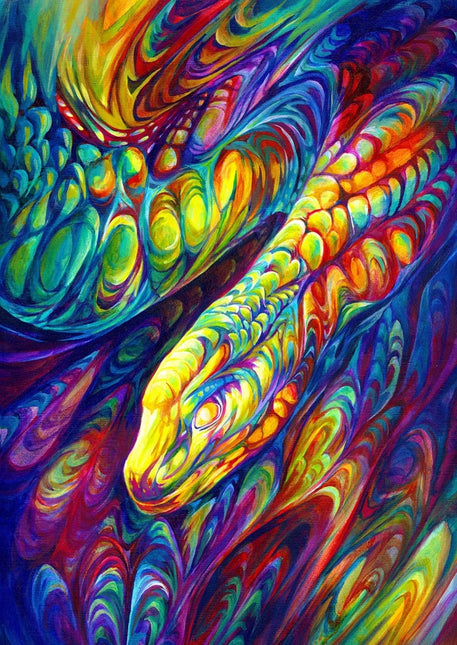 Enjoy Rainbow Snake Puzzel 1000 Stukjes