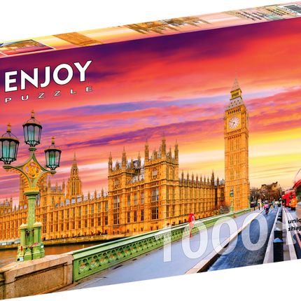 Enjoy The Palace of Westminster Puzzel 1000 Stukjes
