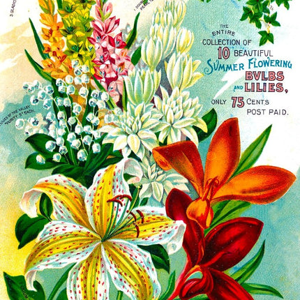 Enjoy Vintage Flower Catalog Art Puzzel 1000 Stukjes