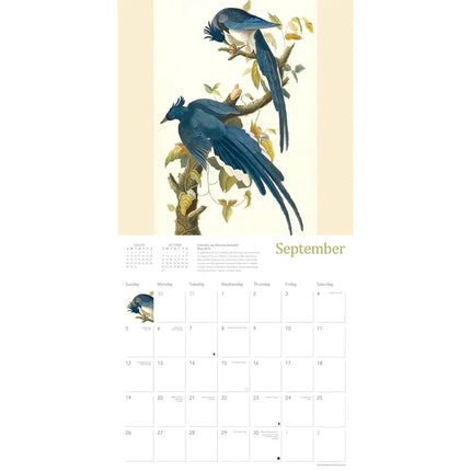 Flame Tree Audubon Birds Kalender 2027