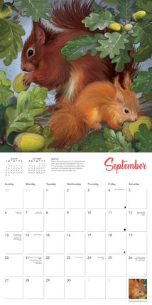Flame Tree Beautiful Babies Kalender 2026