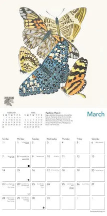 Flame Tree Butterflies by E.A. Séguy Kalender 2027 Mini
