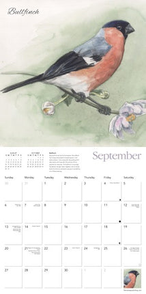 Flame Tree Garden Birds Kalender 2027