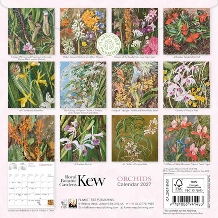 Flame Tree Kew Gardens: Orchids Kalender 2027 Mini
