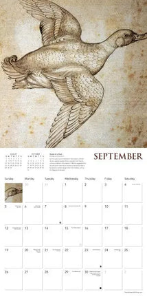 Flame Tree Leonardo da Vinci Kalender 2027