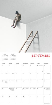 Flame Tree Optical Illusions Kalender 2026