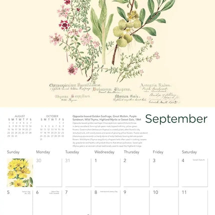 Flame Tree Royal Botanic Garden Kalender 2027
