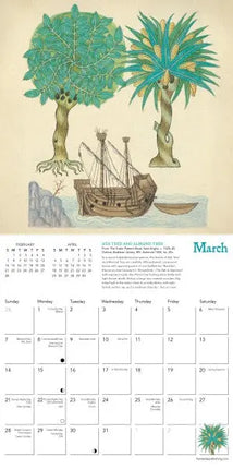 Flame Tree Tudor Botanicals Kalender 2027 Mini