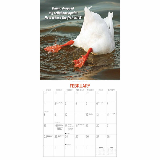 Gladstone Media Extremely Fowl Kalender 2026