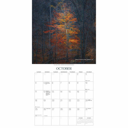 Gladstone Media Heksenbos Kalender 2026