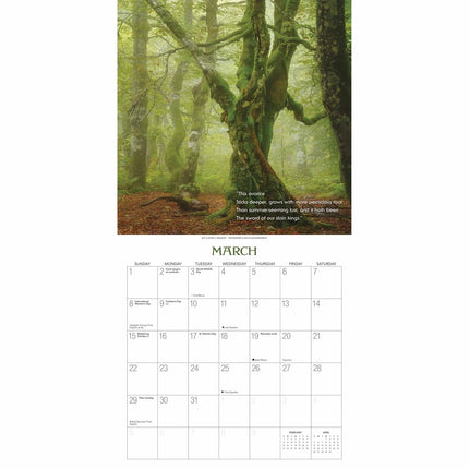 Gladstone Media Heksenbos Kalender 2026