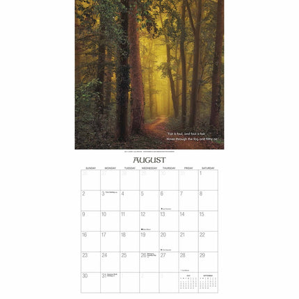 Gladstone Media Heksenbos Kalender 2026