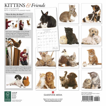 Gladstone Media Kittens en Vrienden Kalender 2026