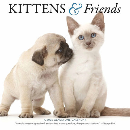 Gladstone Media Kittens en Vrienden Kalender 2026