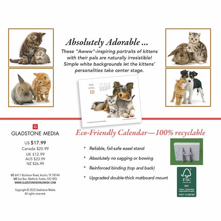 Gladstone Media Kittens en Vrienden Scheurkalender 2026 Boxed
