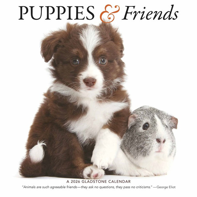 Gladstone Media Puppies en Vrienden Kalender 2026