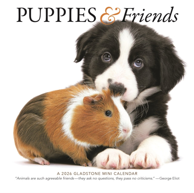 Gladstone Media Puppies en Vrienden Kalender 2026 Mini