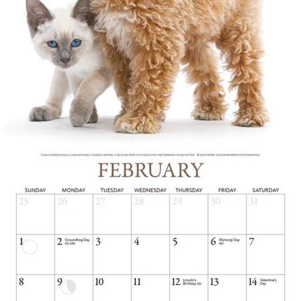 Gladstone Media Puppies en Vrienden Kalender 2026 Mini