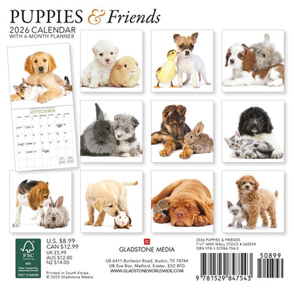 Gladstone Media Puppies en Vrienden Kalender 2026 Mini
