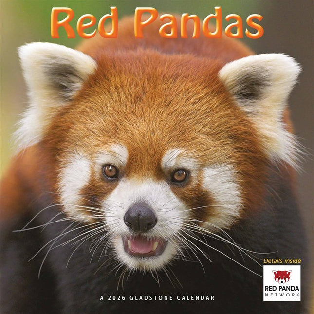 Gladstone Media Rode Panda Kalender 2026