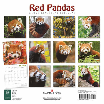 Gladstone Media Rode Panda Kalender 2027