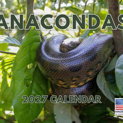 Gotham Anaconda Kalender 2027