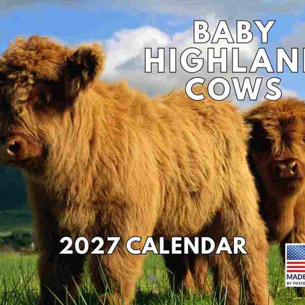 Gotham Baby Schotse Hooglander Kalender 2027
