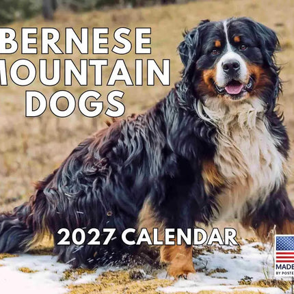 Gotham Berner Sennen Kalender 2027