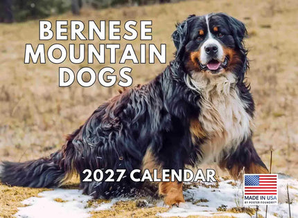 Gotham Berner Sennen Kalender 2027